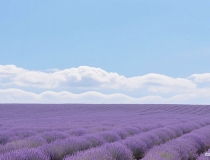 古诗《水调歌头》加拼音及指导怎样有感情地朗