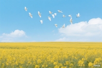 古诗词夫妻盼望能团圆(祝福夫妻生活美满的诗词