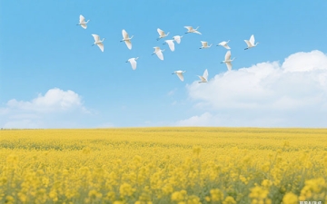 古诗词夫妻盼望能团圆(祝福夫妻生活美满的诗词