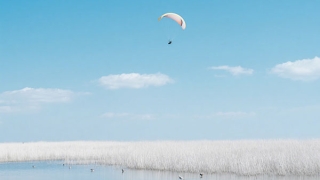 古代有哪些让人感动的爱情故事？