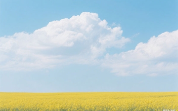 爱情如花的古诗？