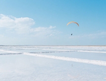 刚刚开始爱情的古诗？