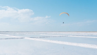 刚刚开始爱情的古诗？