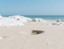 古代歌颂爱情的诗词