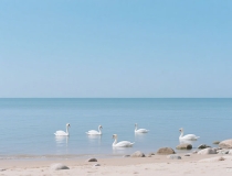 古代爱情诗词名句