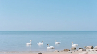 古代爱情诗词名句